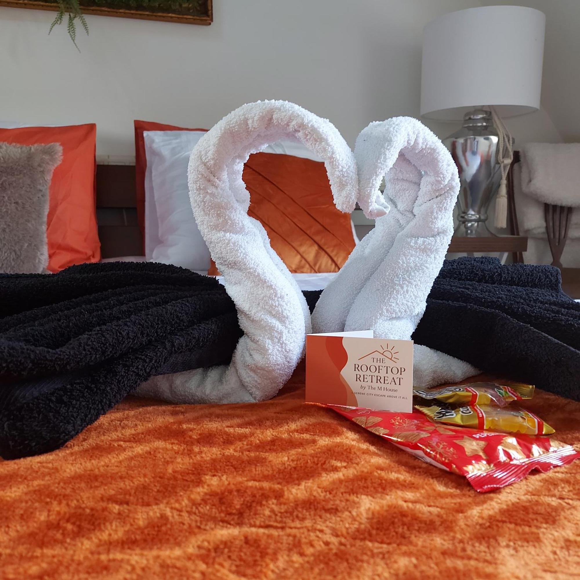 The Rooftop Retreat - By The M House Bed & Breakfast Arnhem